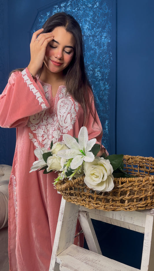 Luxury fits by BEGUM’S✨velvet embroidered set