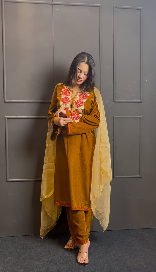 Luxury fits by BEGUM’S✨ velvet embroidered suit